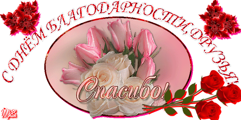 Открытка Открытки с днем спасибо - Открытка с розами: белые и красные цветы | Красивая открытка #17