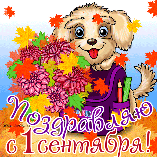Открытка С днем знаний - Открытка с щенком: С Днём знаний! 1 сентября | Красивая открытка #120