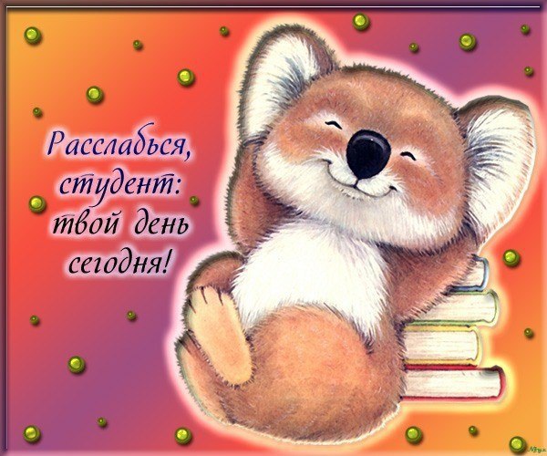 Открытка Открытки с днем студента - Коала с книгами: милая открытка для вас | Красивая открытка #161