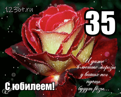 Открытка Открытки на 35 лет - С юбилеем! Красивая открытка с розой | Красивая открытка #61