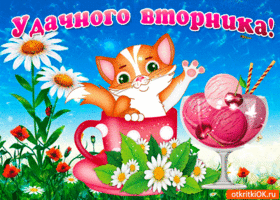 Открытка С вторником - Открытка с котенком и мороженым. Симпатичная открытка с цветами | Красивая открытка #14