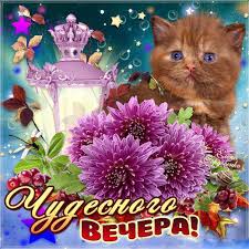 Открытка открытки с пожеланиями доброго вечера  - Открытка с котенком и цветами: поздравления с вечером | Красивая открытка #17