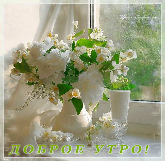 Открытка С жасмином - Открытка с цветущей сиренью и надписью "Доброе утро!" | Красивая открытка #17