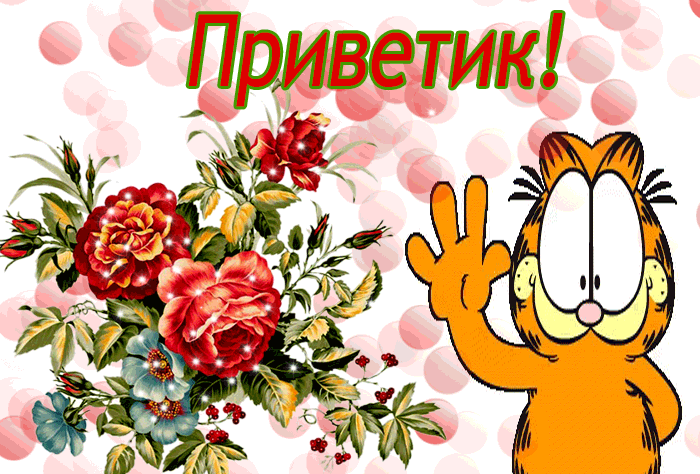 Открытка Привет - Гарфилд и цветы: праздничная открытка с котиком | Красивая открытка #78