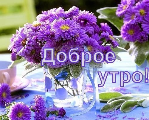 Открытка С астрами - Открытка с фиалками и чашкой | Красивая открытка #98