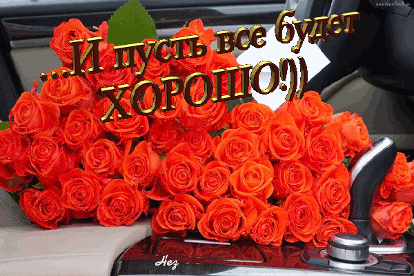 Открытка Открытки все будет хорошо - Букет роз в салоне автомобиля | Красивая открытка #101