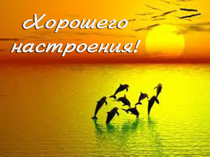Открытка открытки с пожеланиями хорошего настроения  - Дельфины на фоне заката: праздничная открытка | Красивая открытка #7