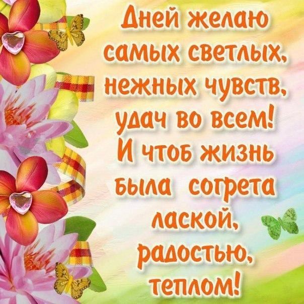 Открытка открытки с пожеланиями всего хорошего - Открытка с цветами: нежные пожелания и теплота | Красивая открытка #2