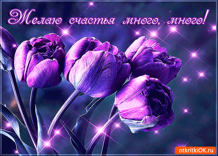 Открытка Открытки желаю счастья - Фиолетовые тюльпаны на фоне звездного неба. | Красивая открытка #85