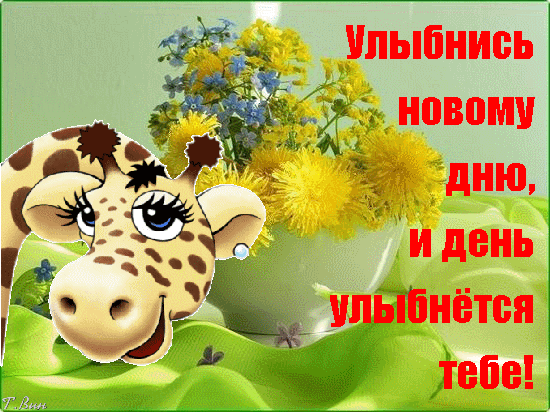 Открытка Открытки улыбнись - Открытка с милой жирафёнком и цветами | Красивая открытка #131