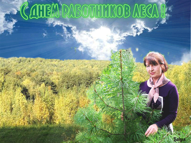 Открытка Открытки с днем работников леса - Лесник и ель: открытка с природой | Красивая открытка #7