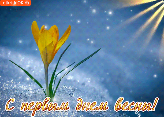 Открытка С крокусами - Открытка «Первый цветок весны» — GIF с цветами | Красивая открытка #24