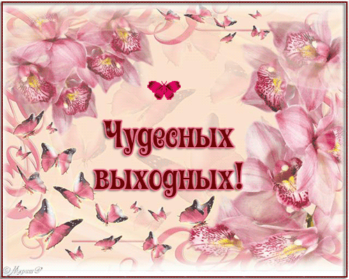 Открытка Открытки хороших выходных - Открытка с цветами и бабочками: С Днём Выходных! | Красивая открытка #251