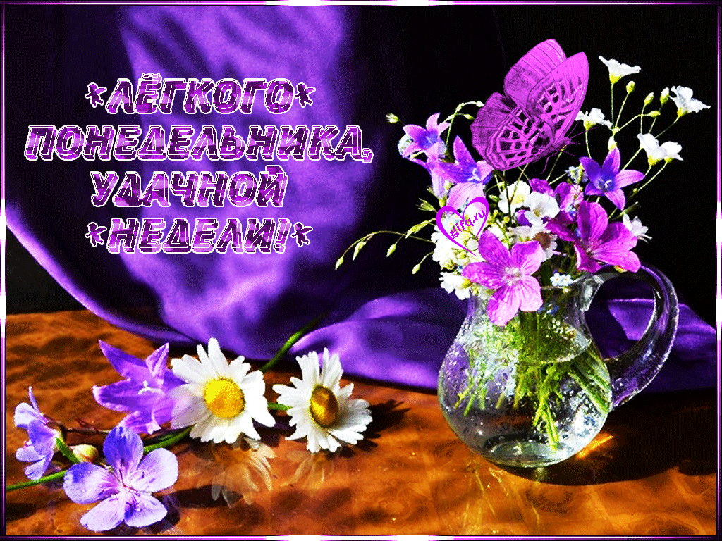 Открытка Открытки на понедельник - Открытка с ромашками и фиалками в вазе | Красивая открытка #13