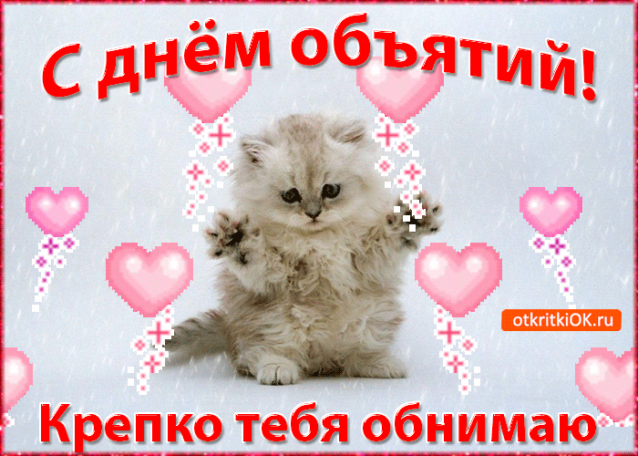 Открытка Открытки с днем объятий - Открытка с котенком: милая картинка для поздравлений | Красивая открытка #89