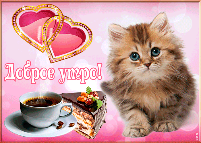 Открытка С добрым утром - Открытка: Кофе, торт и котенок | Красивая открытка #6
