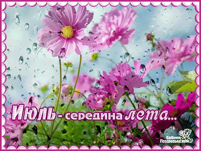 Открытка С космеями - Открытка: Цветы, летний дождь, розовая и белая зелень | Красивая открытка #69