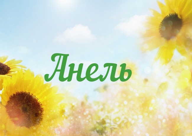 Открытка открытки с именем Анеля - Открытка с подсолнухами на фоне голубого неба | Красивая открытка #5