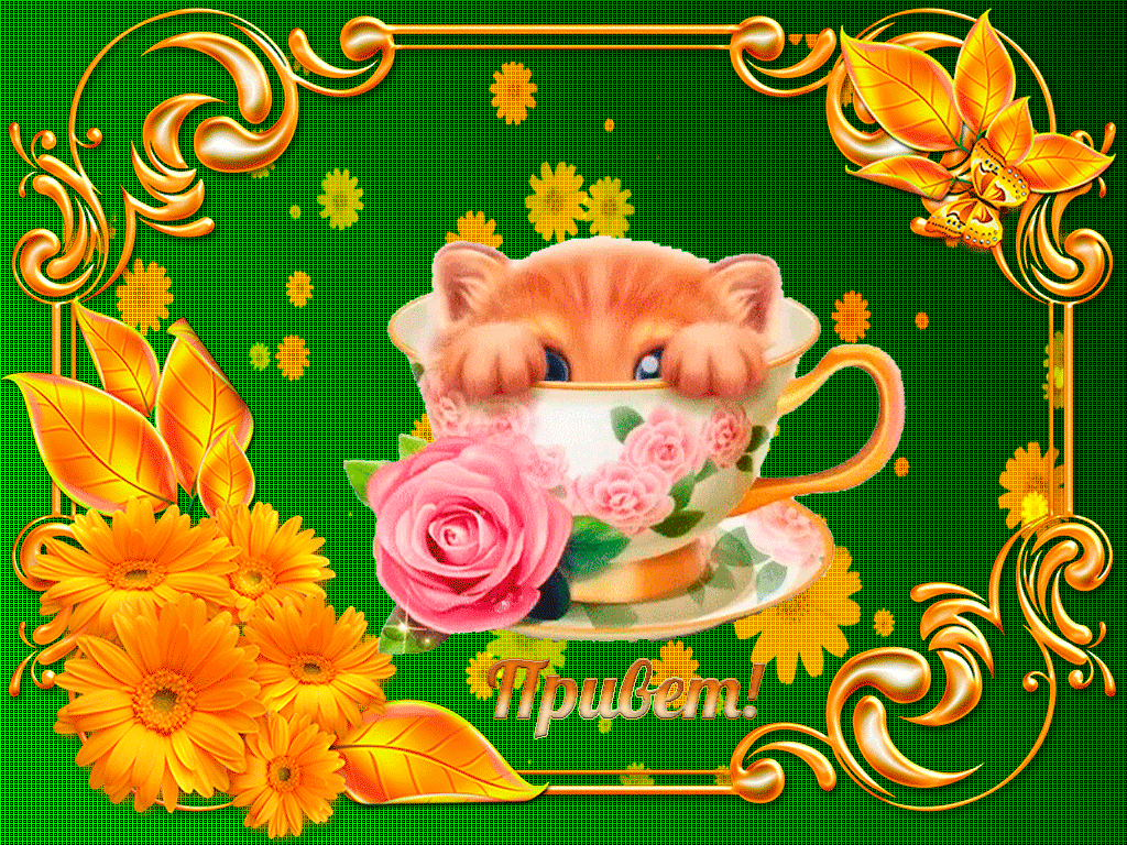 Открытка Привет - Открытка с котенком и розами | Красивая открытка #289