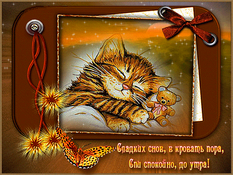 Открытка Открытки с пожеланиями на ночь - Открытка с котиком: Сладкие сны и до утра | Красивая открытка #39