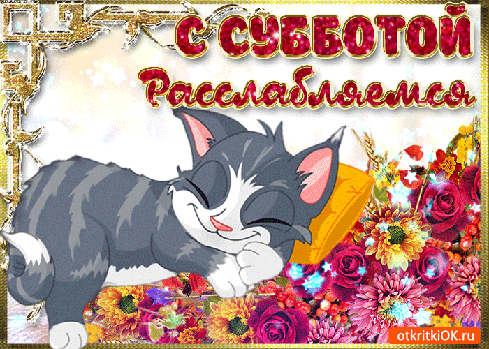 Открытка Открытки на субботу - Открытка с серым котенком и цветами | Красивая открытка #41