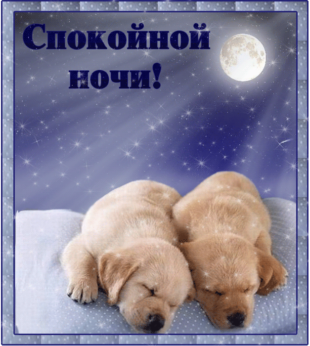 Открытка Спокойной ночи - Две щенка спят. Открытка с собаками. | Красивая открытка #152