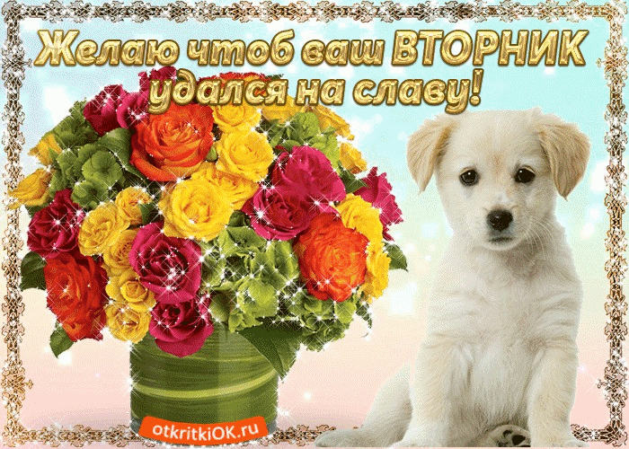 Открытка Открытки на вторник - Открытка: Щенок и цветы в горшке | Красивая открытка #47