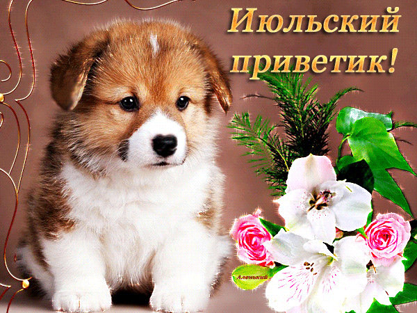 Открытка Июльский - Щенок и цветы: нежная открытка | Красивая открытка #8