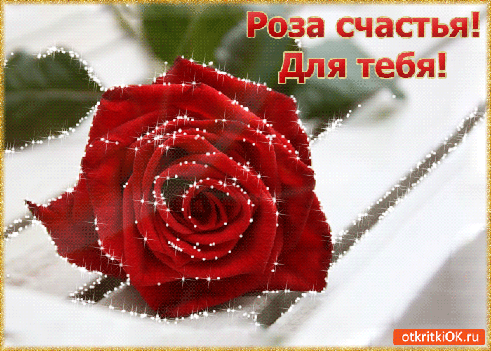 Открытка Открытки для тебя - Красная роза на снегу: открытка с цветами | Красивая открытка #33