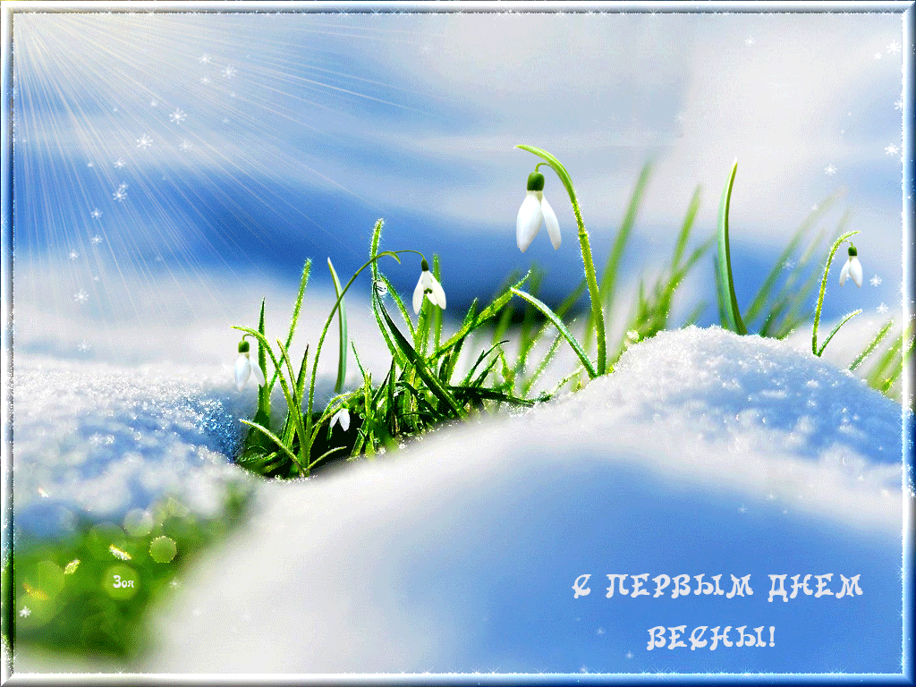 Открытка Первый день весны - Подснежники на фоне снега - открытка с весенним пейзажем | Красивая открытка #183