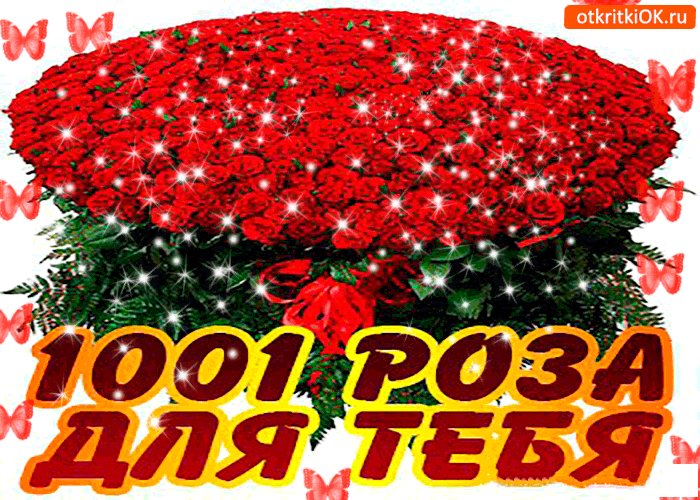 Открытка Открытки для тебя - Букет роз: 1001 роза для тебя - Открытка | Красивая открытка #15