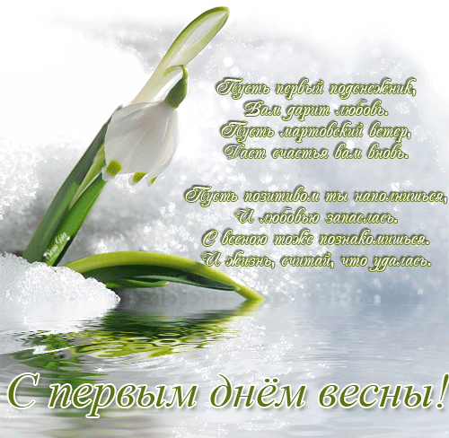 Открытка Открытки с первым днем весны - Первые подснежники на снегу: весенняя открытка | Красивая открытка #24