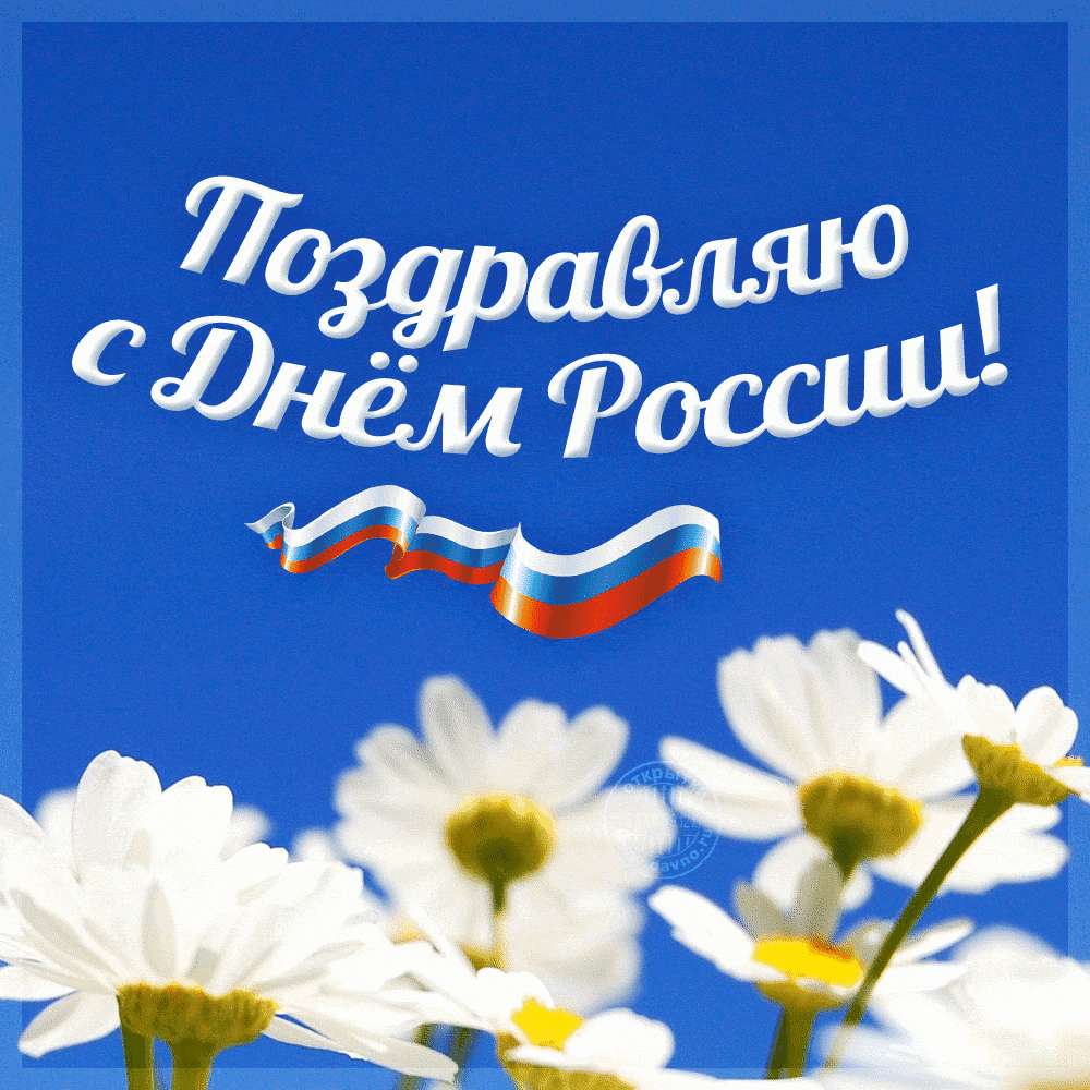 Открытка День России - Открытка: С Днём России! Ромашки и флаг | Красивая открытка #135