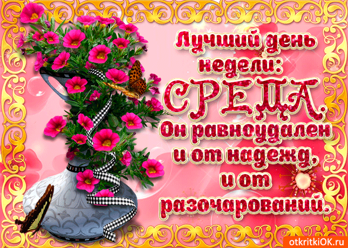 Открытка Среда - Открытка с цветами в чашке: розовые цветы, бабочка, поздравление | Красивая открытка #80