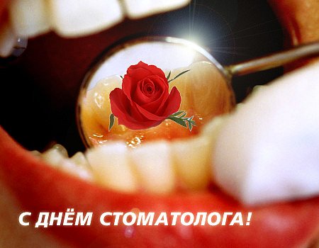 Открытка День стоматолога  - Зубы и роза: поздравление стоматологу | Красивая открытка #16