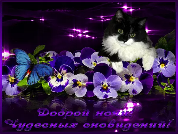 Открытка Доброй ночи - Открытка: Котенок и цветы. Поздравления с Доброй ночью | Красивая открытка #146