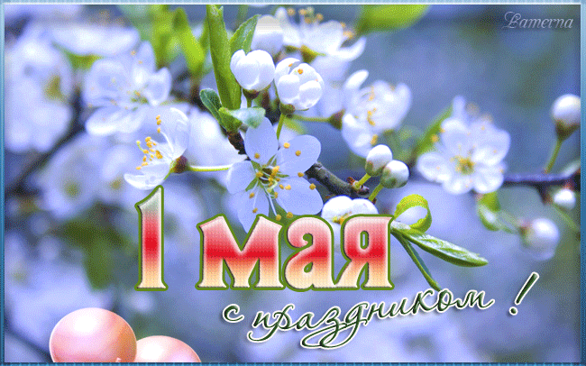 Открытка 1 мая - Открытка "1 мая" с цветами | Красивая открытка #348
