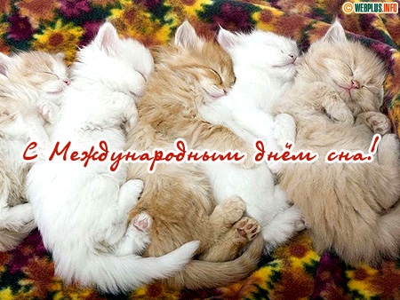Открытка Всемирный день сна - С Днём сна: Милые котята спят вместе! | Красивая открытка #16