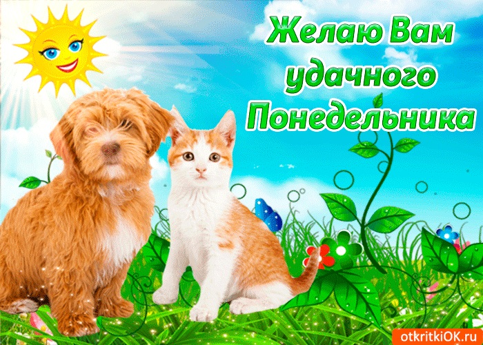 Открытка Удачного понедельника - Открытка с щенком и котенком | Красивая открытка #45