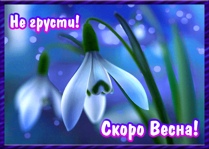 Открытка Не грусти - Подснежник. Открытка. Весна. | Красивая открытка #45