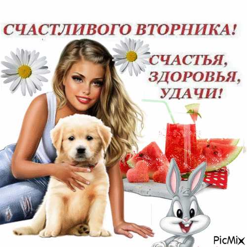 Открытка Открытки на вторник - Девушка, щенок и арбуз: открытка с летом | Красивая открытка #124