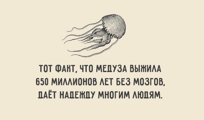 Открытка Остроумные открытки с приколами - Открытка с медузой: оригинальный дизайн | Красивая открытка #28