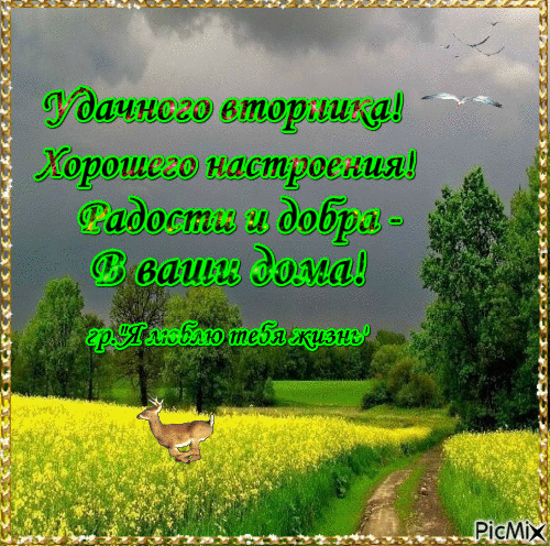 Открытка Открытки на вторник - Открытка: Поле, олень, пасмурный день | Красивая открытка #77