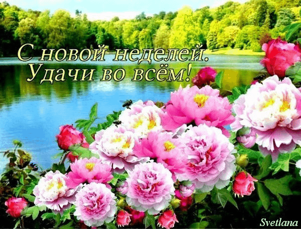 Открытка Удачи - Открытка с цветами и рекой | Красивая открытка #225