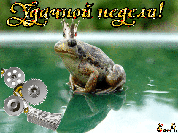 Открытка Открытки желаю удачи - Лягушка в короне на воде: открытка с необычным героем | Красивая открытка #113