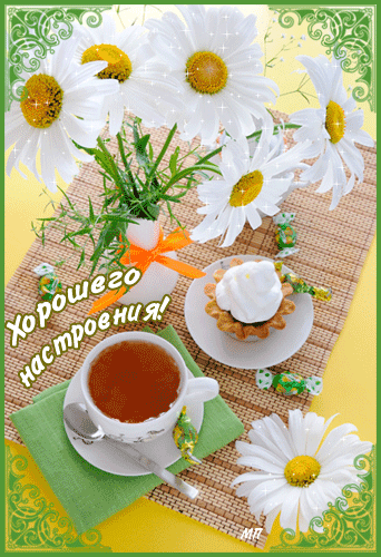Открытка Открытки хорошего настроения - Открытка с ромашками и чаем | Красивая открытка #142