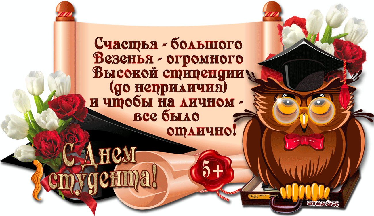 Открытка День студента - Открытка с совой, выпускной, цветы, поздравление | Красивая открытка #14