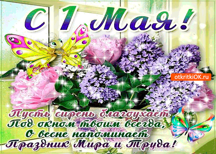 Открытка открытки на 1 мая - Открытка с цветами и бабочками  поздравления с праздником | Красивая открытка #25