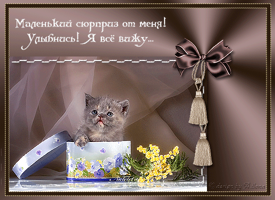Открытка Улыбнись - Открытка с котенком и цветами | Красивая открытка #233