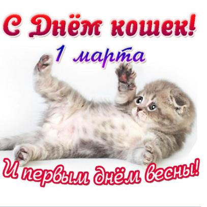 Открытка С Всемирным днём кошек - Открытка с котенком на весну! | Красивая открытка #60